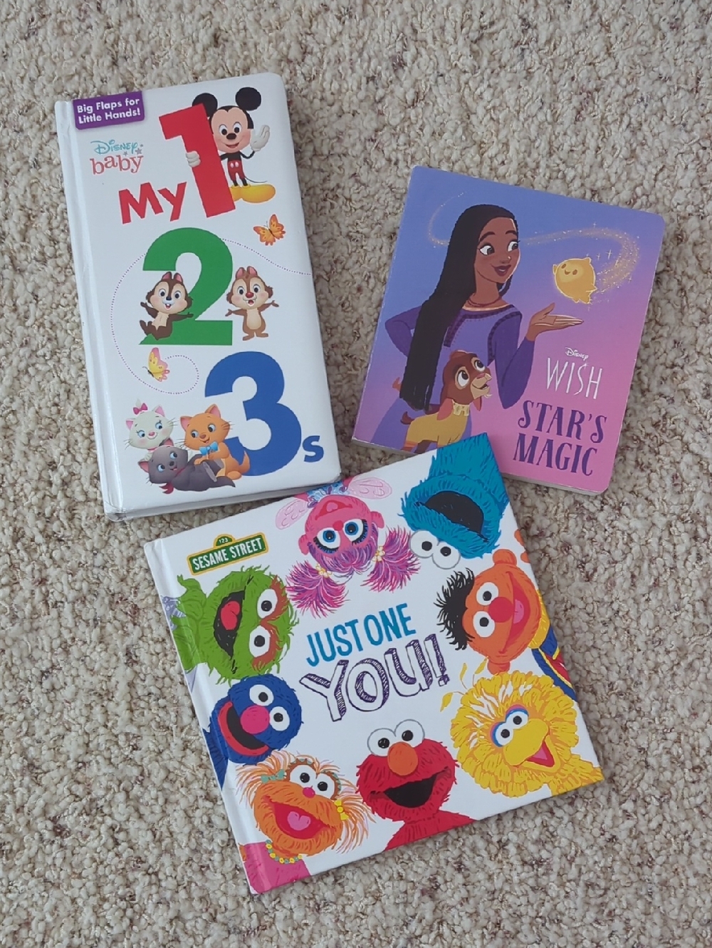 Disney Counting Book, Disney Wish Star's Magic Book & Sesame St. Story Book  (3)